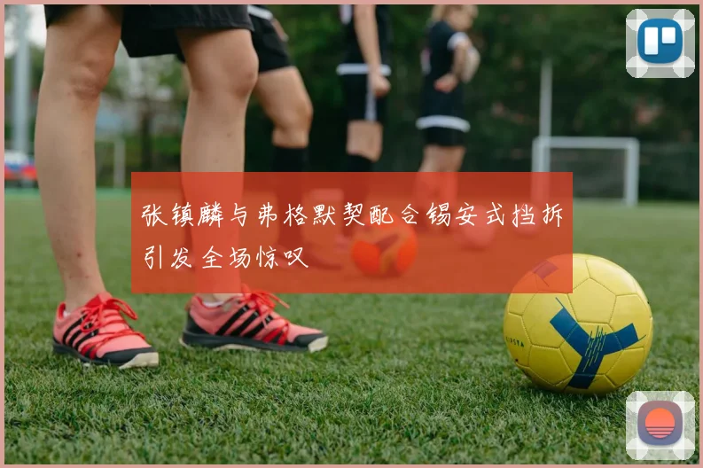 张镇麟与弗格默契配合锡安式挡拆引发全场惊叹