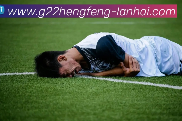 G22恒峰平台生态图